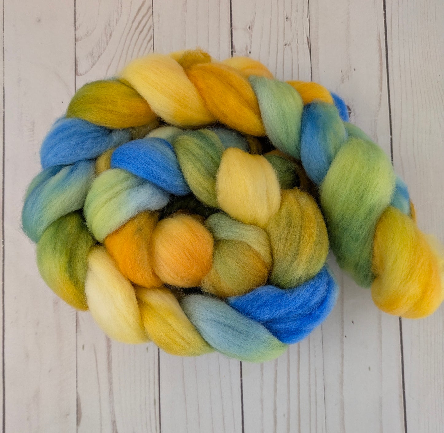 Shoreline - dyed polwarth fiber 4.4 oz